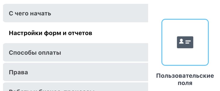 Раздел пользовательских полей